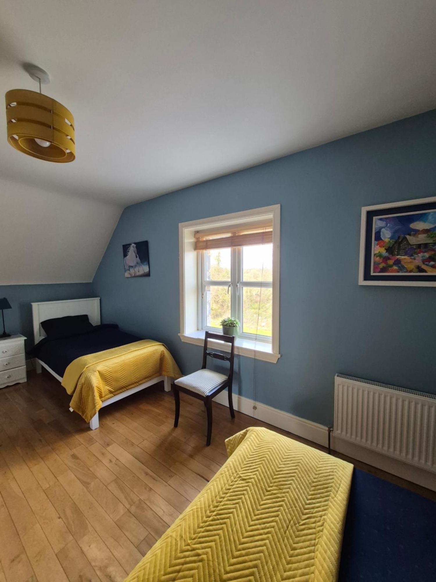 Ballinasloe Guest House In The Heart Of The Country Exterior photo